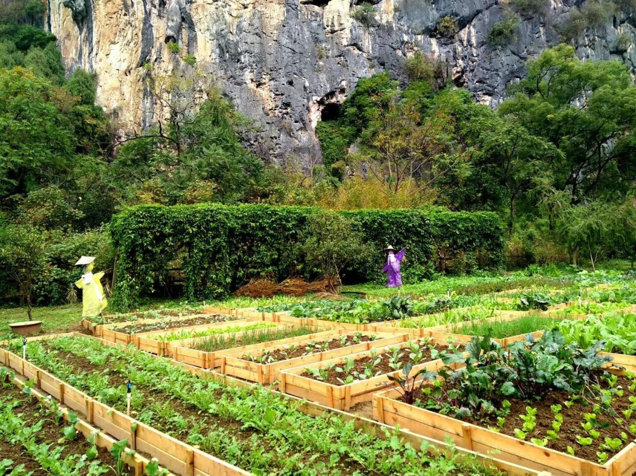 Nirvana Organic Farm Inn Yangshuo Exterior foto